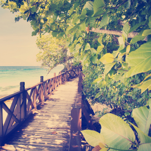 A wooden boardwalk, perfect for self-care practices for chronic pain, is shaded by lush green trees as it meanders alongside a turquoise ocean under a clear sky.