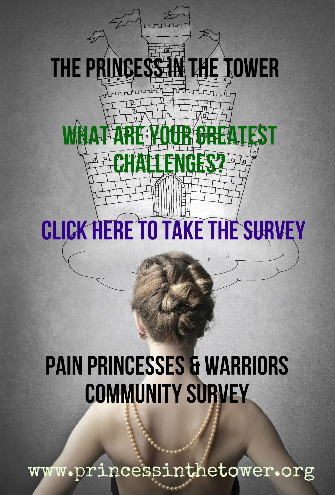 Princess Survey