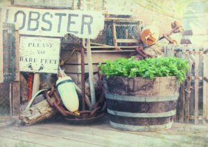 Image of lobster pots, buoys and fishing equipment on the quaysi